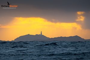 Round Island