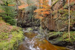 Aira Force