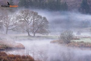 Showcase - River Brathay 6 (16 Nov 25)