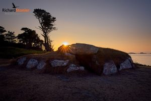 Showcase - Innisidgen 12 (19 Jul 26)