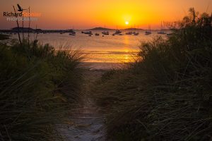 Showcase - Porthmellon 10 (24 May 26)